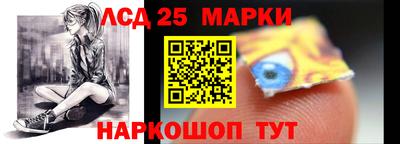 гидропоника Шебекино