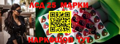 гидра Шахты