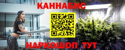 гидра Шахты