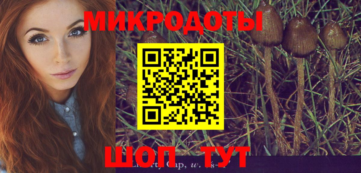 Волгодонск  Псилоцибиновые грибы MAGIC MUSHROOMS  Вход с VPN 